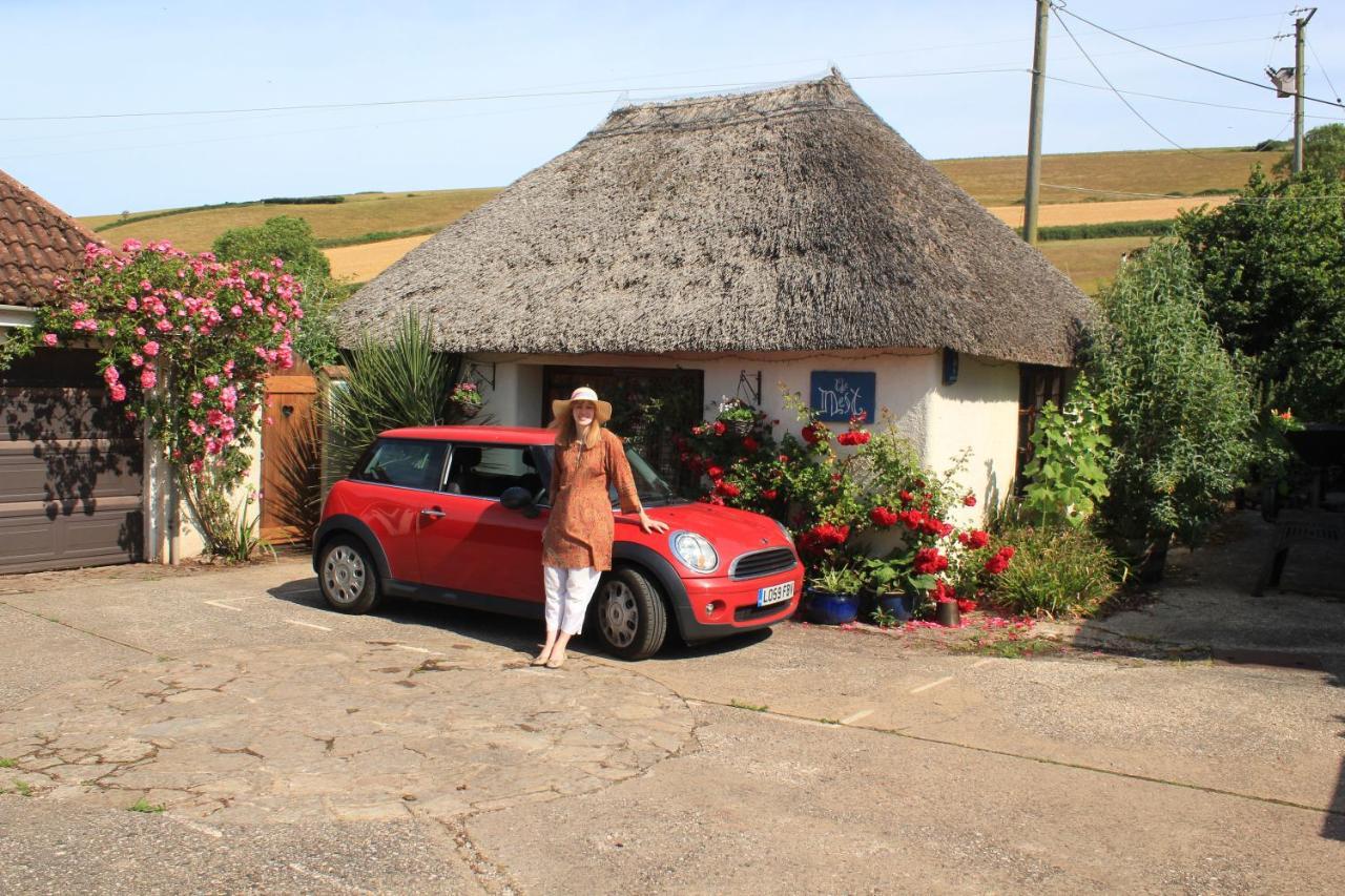 The Nest - Thatched Seaside Country Cottage For Two Stokeinteignhead Exterior foto