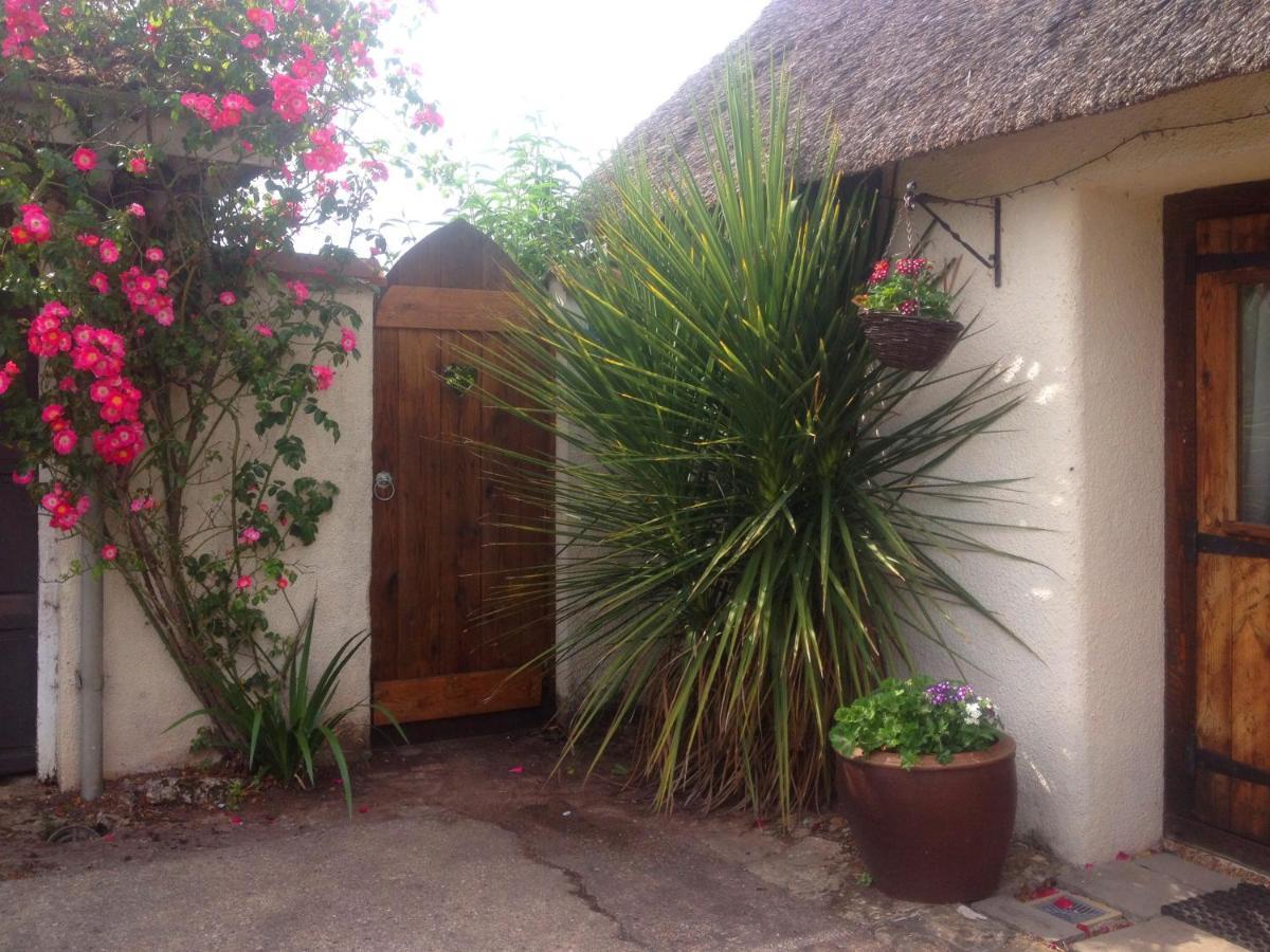 The Nest - Thatched Seaside Country Cottage For Two Stokeinteignhead Exterior foto