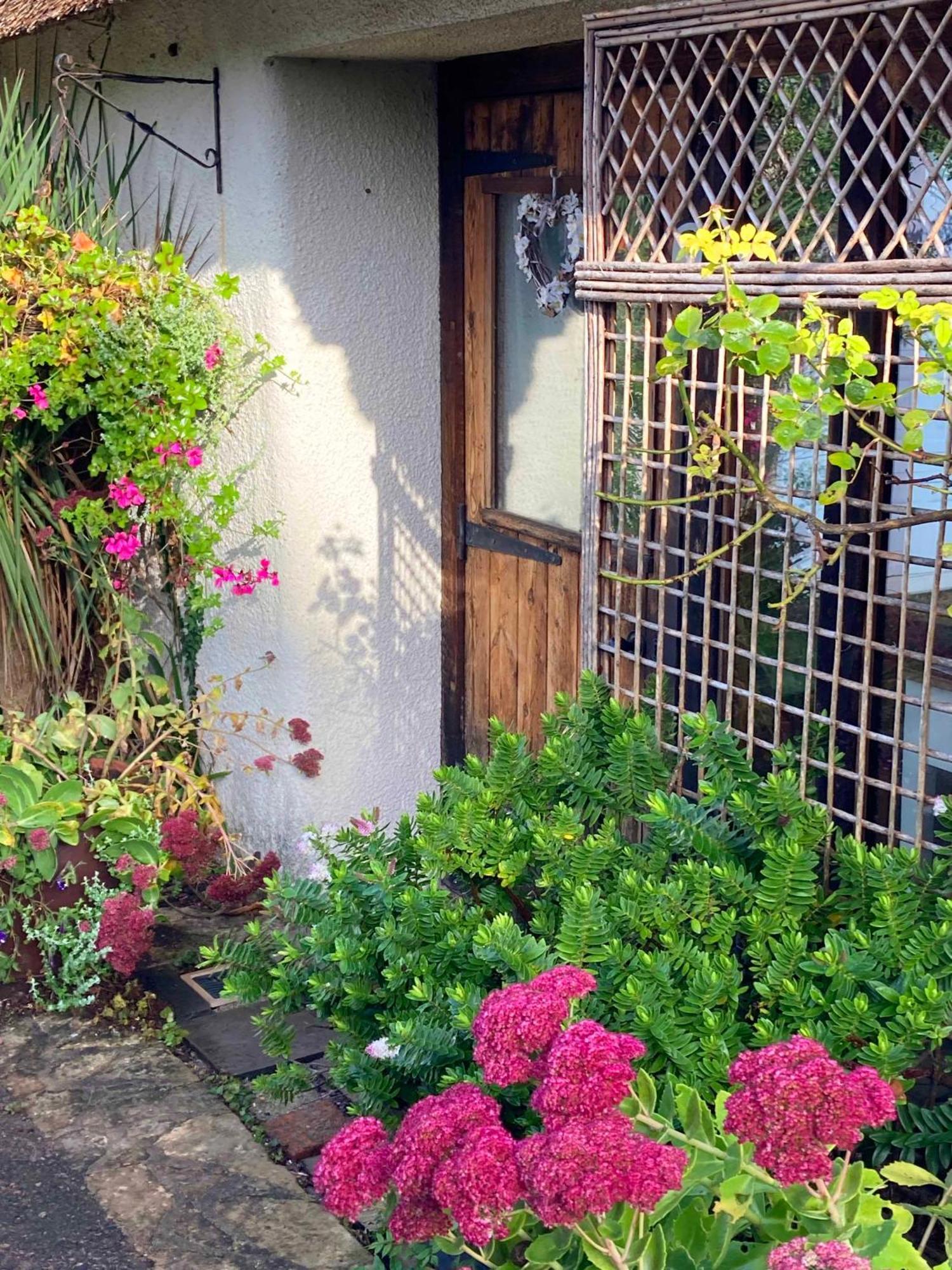 The Nest - Thatched Seaside Country Cottage For Two Stokeinteignhead Exterior foto