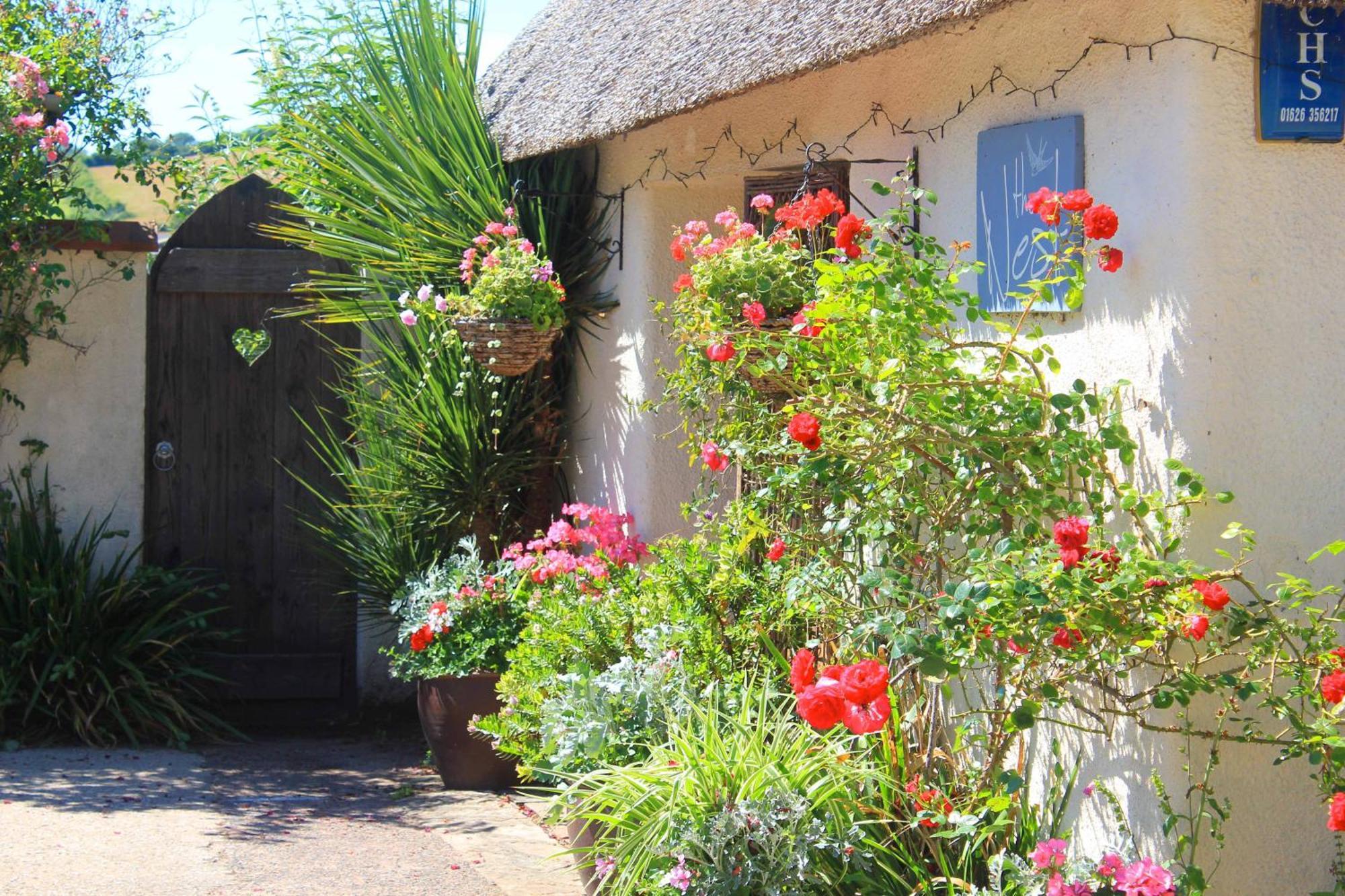 The Nest - Thatched Seaside Country Cottage For Two Stokeinteignhead Exterior foto