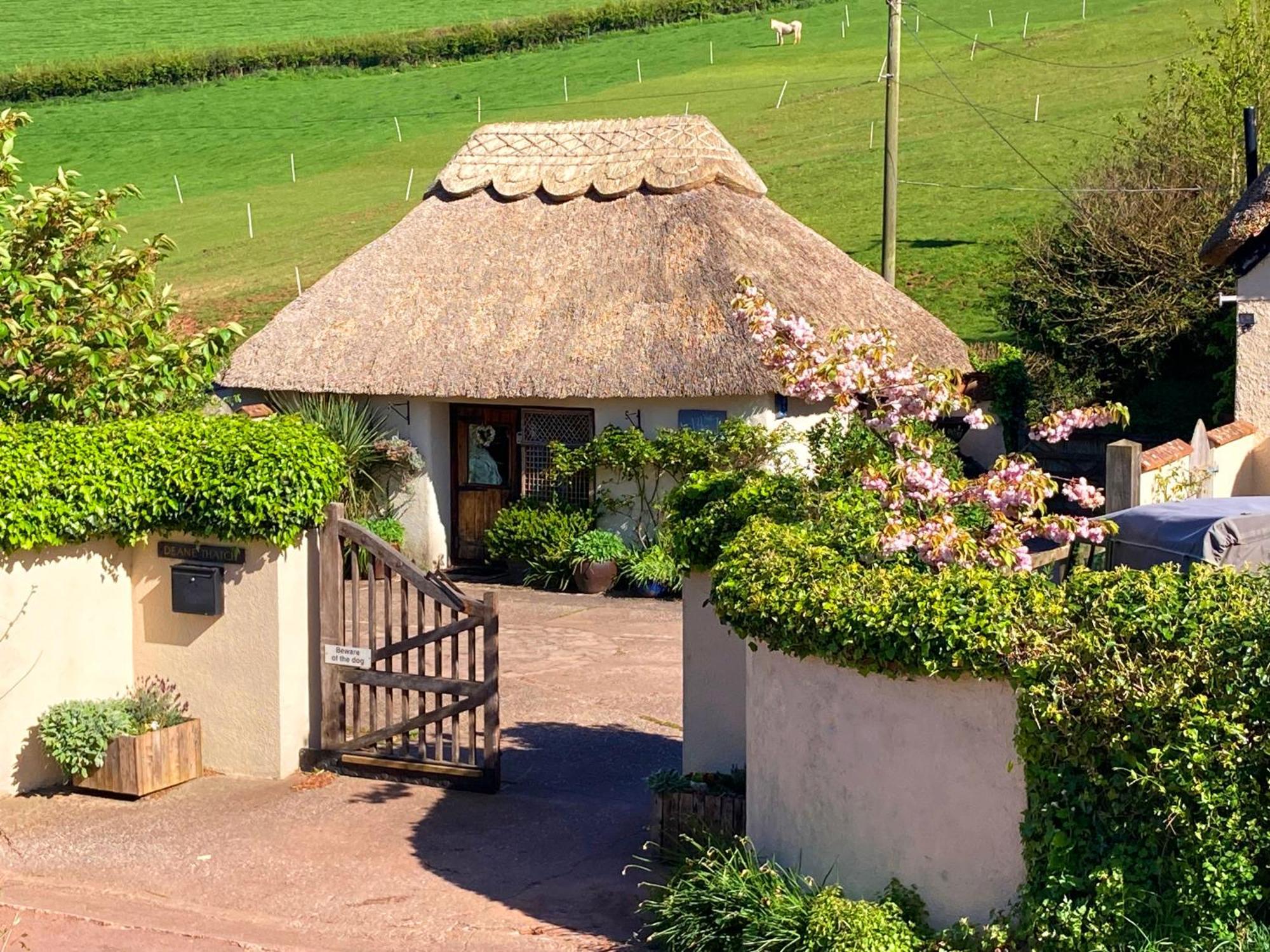 The Nest - Thatched Seaside Country Cottage For Two Stokeinteignhead Exterior foto